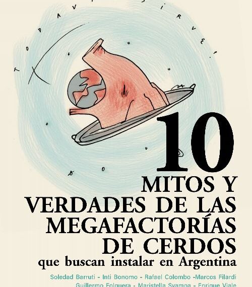 10 mitos y verdades de las megafactorías de cerdos que buscan instalar en Argentina