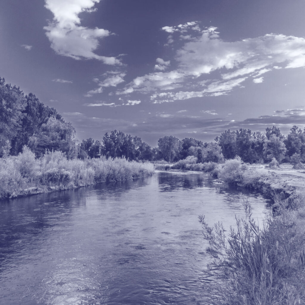 Frente a la revisión de la licitación de la denominada Vía Troncal Navegable en el río Paraná: Exigimos transparencia y respeto por los derechos ambientales