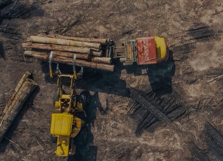 La Mafia del Desmonte al Desnudo