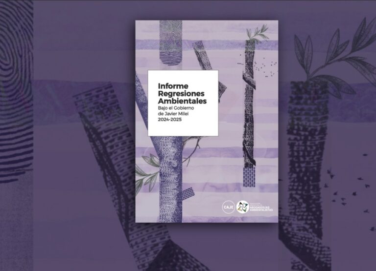El desguace como política de Estado: Informe demuestra las regresiones ambientales del gobierno libertario