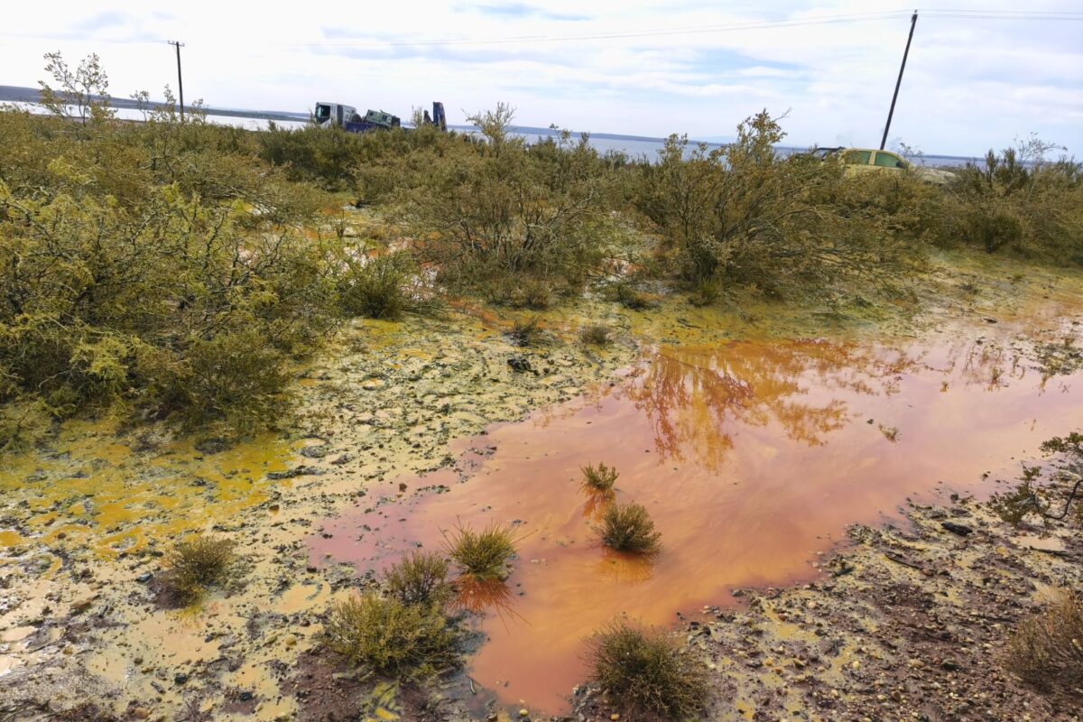 Fuga de hidrocarburos en el lago Mari Menuco: nuevo desastre petrolero en Neuquén