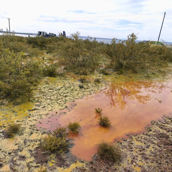 Fuga de hidrocarburos en el lago Mari Menuco: nuevo desastre petrolero en Neuquén