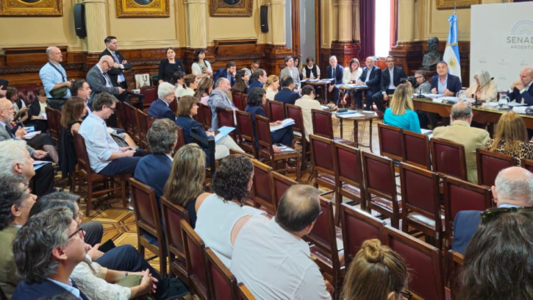 Ley de Glaciares Senado