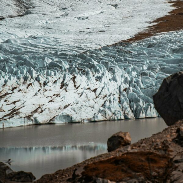 Organizaciones presentan una medida cautelar para garantizar la participación ciudadana en la audiencia por la Ley de Glaciares