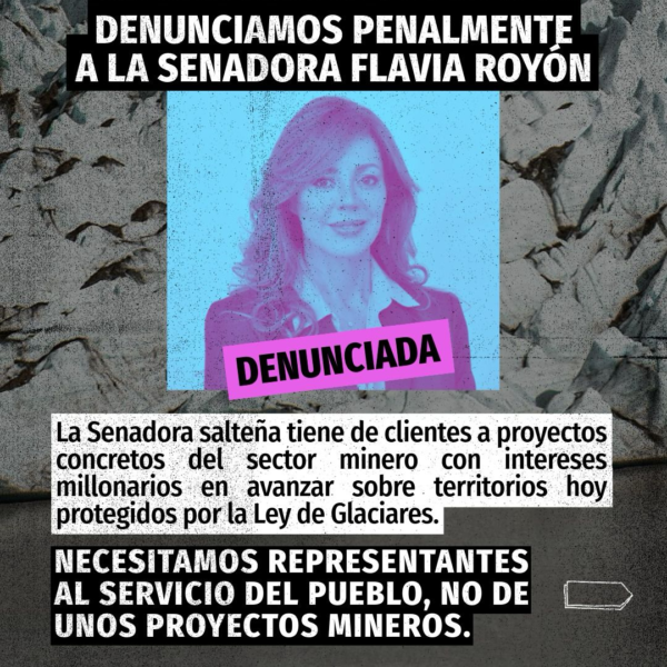 Flavia Royon Denuncia Penal Ley de Glaciares