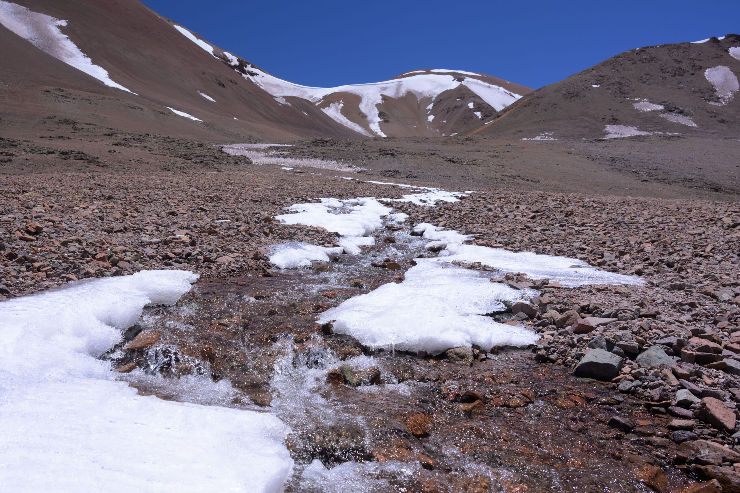 La demanda por la Ley de  Glaciares, acompañada por 850.000 personas, aún espera respuesta de la justicia