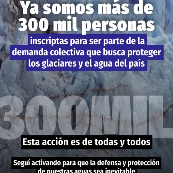 En 12 horas, la demanda colectiva contra la reforma de la Ley de Glaciares reunió más de 300 mil adhesiones